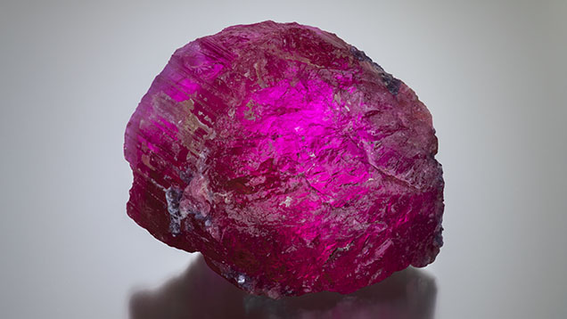 Figure 2. Rubellite tourmaline rough (440 g) from one of the Tourmaline King mine’s new pockets. Photo by Robert Weldon; courtesy of Pala International.