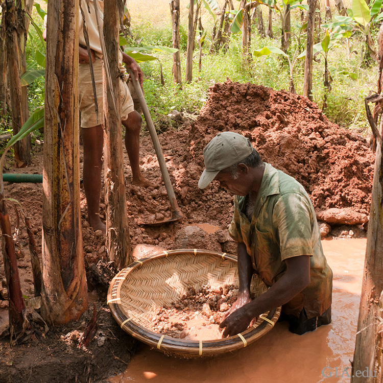 An artisanal miner searches through a basket for the December birthstone, zircon, in a muddy river in the Elahera region of Sri Lanka.