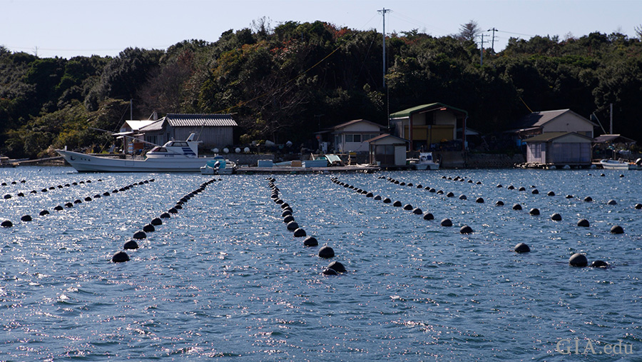 Ago Bay, Japan is one of the most important sites for akoya cultured pearl farms. Photo: Valerie Power/GIA
