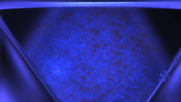 Figure 4. DiamondView image of one of the {100} oriented faces adjacent to the final growth surface of the original CVD synthetic. It shows low-intensity orange background emission and a network of blue dislocation-related luminescence, consistent with columnar growth typical of CVD synthetic diamonds. Image by Sema Firat; field of view 9.0 mm. Figure 4. DiamondView image of one of the {100} oriented faces adjacent to the final growth surface of the original CVD synthetic. It shows low-intensity orange background emission and a network of blue dislocation-related luminescence, consistent with columnar growth typical of CVD synthetic diamonds. Image by Sema Firat; field of view 9.0 mm.