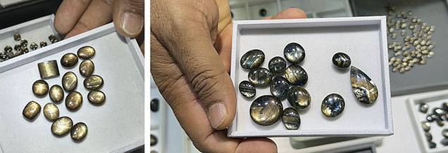 Figure 1. Gold sheen sapphires displaying asterism (left) and multicolored zoning (right). Photos by Jennifer Stone-Sundberg; courtesy of Genuine Gems & Jewellery.
