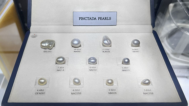 Figure 5. An assortment of large size and high-quality natural Pinctada pearls at the GJX show. Photo by Artitaya Homkrajae; courtesy of Ocean Flame Ltd.