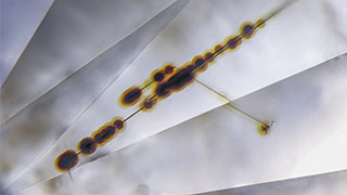 A Classification Scheme of Natural Radiation Stain Morphology and Texture on Diamond A Classification Scheme of Natural Radiation Stain Morphology and Texture on Diamond