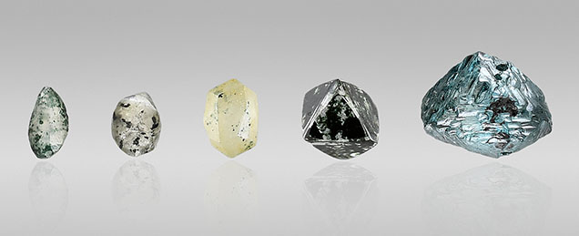 Figure 3. Five rough diamonds from this study of various colors and habits, displaying natural radiation staining. These samples originate from Guyana except for the second from the right, which is reportedly from Venezuela. Carat weights from left to right are 0.01 ct (Guy304), 0.04 ct (Guy572), 0.06 ct (Guy712), 0.11 ct (GV001), and 0.23 ct (Mus17586). Photos by Diego Sanchez. Figure 3. Five rough diamonds from this study of various colors and habits, displaying natural radiation staining. These samples originate from Guyana except for the second from the right, which is reportedly from Venezuela. Carat weights from left to right are 0.01 ct (Guy304), 0.04 ct (Guy572), 0.06 ct (Guy712), 0.11 ct (GV001), and 0.23 ct (Mus17586). Photos by Diego Sanchez.