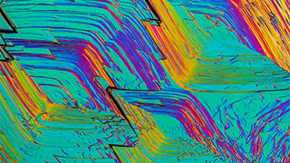 Spring 2026 Micro-World Banner Spring 2026 Micro-World Banner