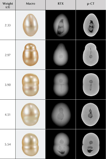 Figure 2. RTX and μ-CT images reveal varying forms of elongated void or linear features associated with one or two microscopic spheres of marine organisms. The spheres measure from 1.23 to 2.28 mm in diameter.