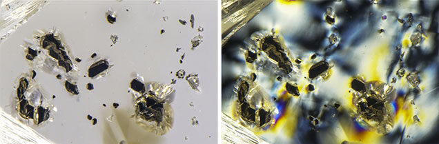 Figure 2. Top: Sometimes referred to as “carbon spots,” opaque black crystals of chromite are uncommon inclusions in diamonds. Bottom: Polarized light reveals the strain surrounding the scattered chromite crystals. Photomicrographs by Nathan Renfro; field of view 3.73 mm.