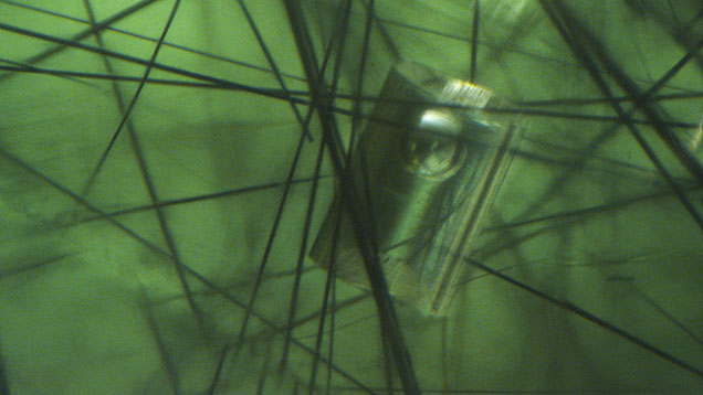 A cylindrical-shaped void encapsulates liquid and a gas bubble within a myriad of needle-like ludwigite inclusions in a Pakistani peridot. Photomicrograph by Britni LeCroy; field of view 1.42 mm.