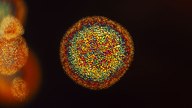 Thin-film decrepitation inclusions create a colorful mosaic pattern in a beryllium-diffused orange sapphire under diffused fiber-optic lighting. Photomicrograph by E. Billie Hughes; field of view 1.6 mm.