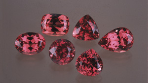 Garnet Buyers Guide 25126