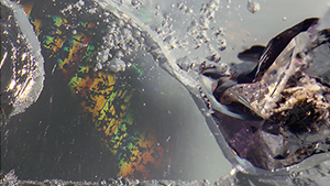 Figure 1. Hematite inclusions extend from the center of an aquamarine sample from Xinjiang, China. Photomicrograph by Yubing Chen; field of view 3.64 mm.