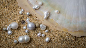 Pearl Research Pearl Research