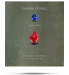 reading reading