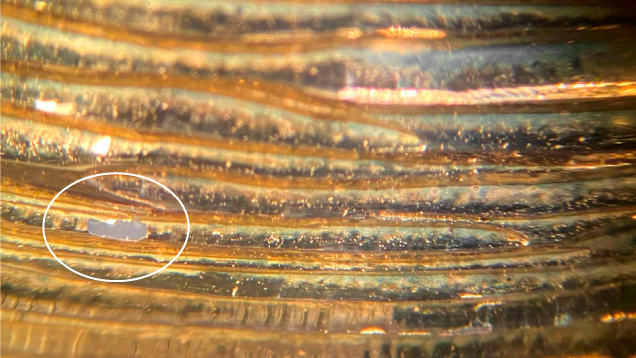 Figure 3. An area where the gold plating has flaked off from the bracelet is shown in the circled region. Photo by Rambod Bahadory.