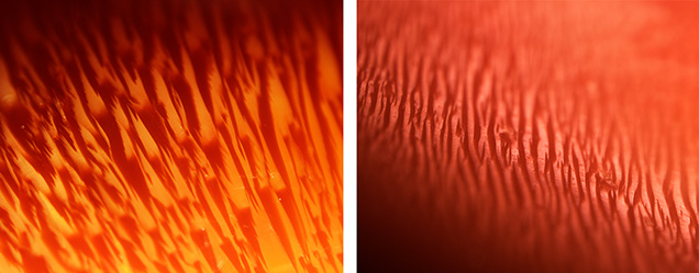 Flame structures on horse conch pearls.