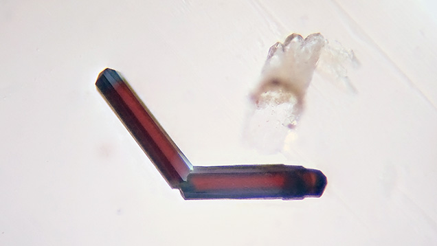 Topaz contains a twinned crystal inclusion resembling a boomerang.