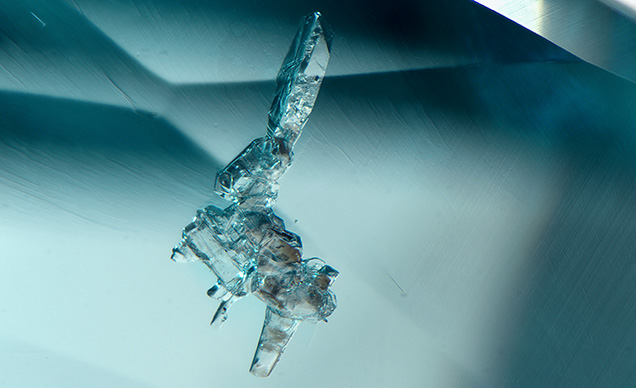 Prismatic colorless lepidolite crystal in a copper-bearing tourmaline. Photomicrograph by Virginia Schneider; field of view 1.58 mm.