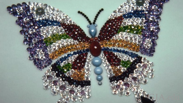 A multi-colored butterfly.