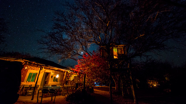 A small house, left and a treehouse, right, are lit up against a star-filled sky.