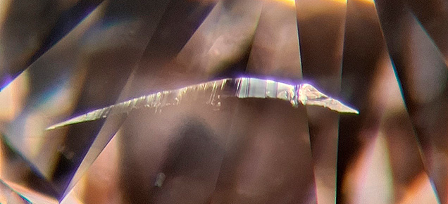 A feather in a 0.30 ct diamond with I<sub>1</sub> clarity resembled an alligator. Photomicrograph by Raju Jain; field of view ~3 mm.