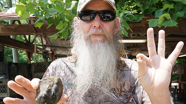 Man holding mussel shell and natural pearl 
