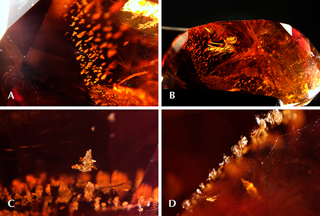 Inclusions in cordierite.