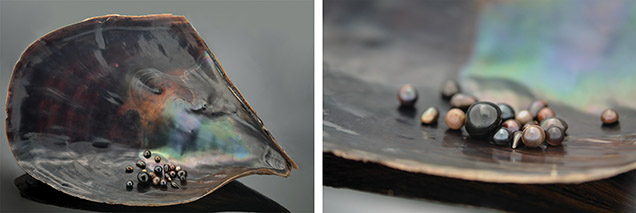Parcel of natural pen pearls