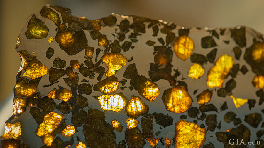 透明なぺリドットが、このパラサイト隕石全体で散らばって観察される。写真：Eric Welch/GIA 提供: Magic Mountain Gems (マジックマウンテンジェムズ)