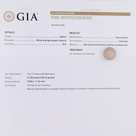 GIA真珠鑑別レポートの上に置かれたホンビノス貝の真珠。