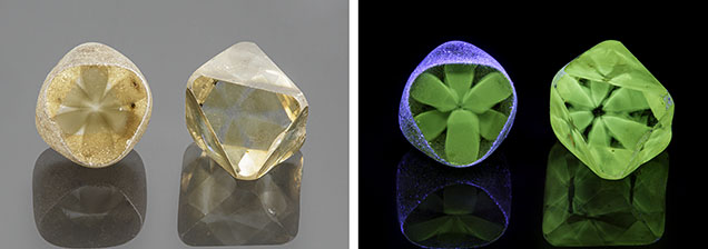 Figure 1. Left: An 8.14 ct and an 8.57 ct diamond containing brown asteriated cloud inclusions with sixfold symmetry. Right: The clouds fluoresced green when exposed to long-wave UV. The purple reflections of the UV source are likely caused by surface imperfections on the rough surface. Photos by Annie Haynes.