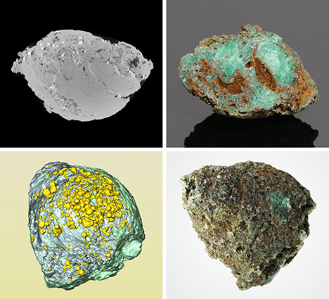 Two fossilized shells show a clear shell structure and scattered pyrite crystals, respectively.