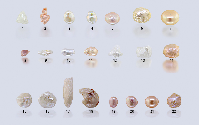 Freshwater pearls used for the blind DNA study.