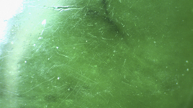 Figure 5. Surface scratches are visible on this coated jadeite. Photomicrograph by Jian Zhang; magnified 20×.