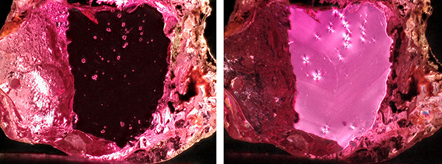 Figure 1. Colorless crystals with high relief (left) in a ruby mined near Caraia in the Montepuez region. Placing the ruby between crossed polarizers (right) revealed a stress halo caused by low-dose radiation emitted by the zircon inclusion. Photomicrographs by Wim Vertriest; field of view 3.6 mm.