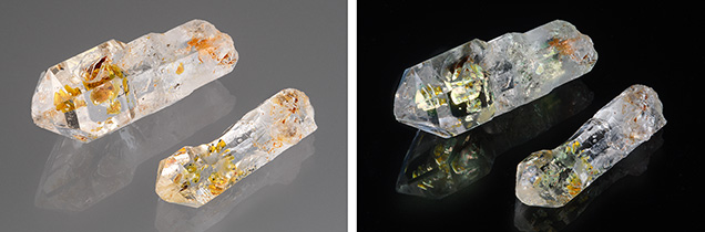 Figure 1. These two quartz crystal scepters containing a multitude of complex petroleum fluid inclusions (left) that fluoresce yellow to blue to long-wave UV light (right) are from a new deposit in Madagascar. The larger crystal weighs 11.05 ct and measures 22.81 mm in length. Photos by Annie Haynes; courtesy of Hidden Gem Gallery.