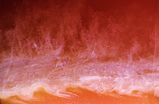 Figure 2. Small white blebs of carbonate mineralization above a veinlet of white and pink carbonate minerals in a rare orangy red friedelite. Photomicrograph by Michaela Damba; field of view 6.34 mm.