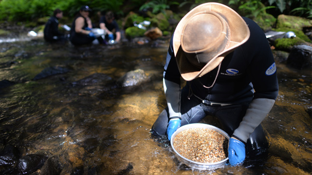 Vincent Pardieu, GIA’s senior manager of field gemology, searches for sapphires in a creek near Weldborough in North Eastern Tasmania. 