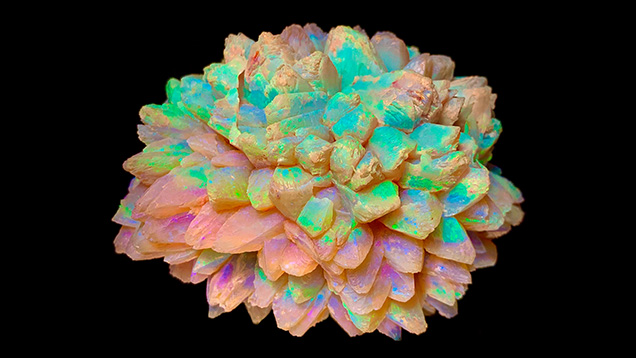 Figure 1. The Heart of Australia, a 3,510 ct double pseudomorph ikaite-calcite-opal gem specimen, is considered one of the finest ever unearthed. Courtesy of Graeme Dowton.