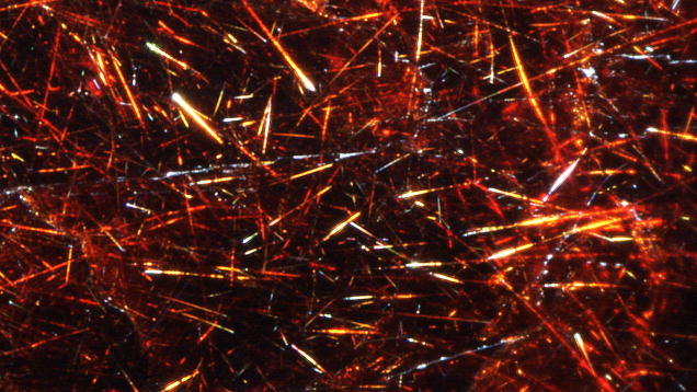 A close-up image of shimmering, elongated orange and red fibers, creating a striking, textured pattern.