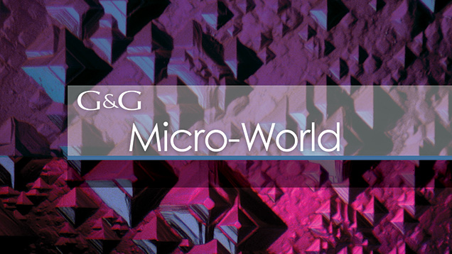 Micro-World 636x358