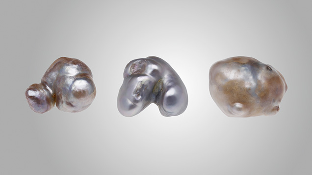 Figure 1. Three large, reportedly natural pearls with hollow interiors from the Pinctada radiata species from Bahrain, weighing 1.97, 3.92, and 6.13 ct, respectively. Photo by Gaurav Bera.