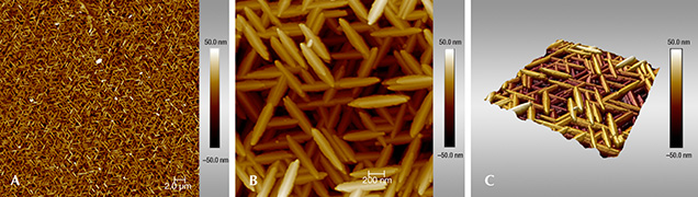 AFM images of iridescent hematite from the Andrade mine.