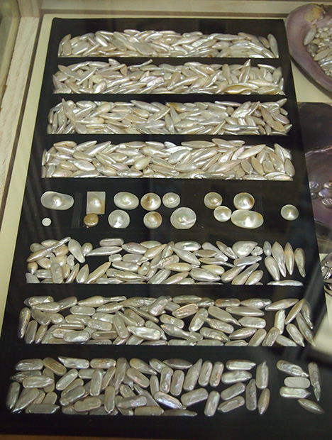 Tray of differently shaped cultured pearls 