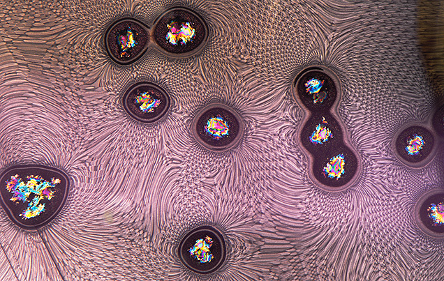 A precipitation of an unidentified mineral in a fissure of a purple spinel creates this highly intricate moiré pattern. A combination of oblique fiber-optic and darkfield illumination was used. Photomicrograph by Tyler Smith; field of view 2.90 mm.