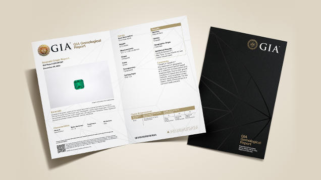 CS Report Conversion Promo CS Report Conversion Promo