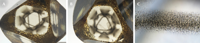 Figure 1. This 3.45 ct natural diamond was partially faceted to highlight the unusual clouds composed of dark micro-inclusions (A and B). At higher magnifications, the distinct micro-inclusions can be observed (C). Photomicrographs by Taryn Linzmeyer; fields of view 7.19 mm (A and B) and 0.72 mm (C).