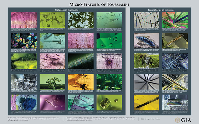 This chart contains a selection of photomicrographs of natural tourmaline and tourmaline inclusions in other natural gemstones. It is by no means comprehensive. The images show the appearance of numerous features a gemologist might observe with a microscope.<br /> <br /> Published in conjunction with Nathan Renfro, Tyler Smith, John I. Koivula, Shane F. McClure, and James E. Shigley (2024), “Micro-Features of Tourmaline,” <em>Gems & Gemology</em>, Vol. 60, No. 2, pp. 208–210. Photomicrographs by Nathan Renfro and Tyler Smith. Stones courtesy of GIA, the John I. Koivula inclusion collection, and the collection of Nathan Renfro.