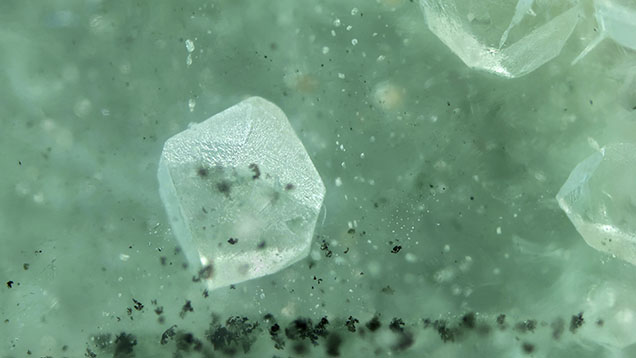 Figure 2. The 3 mm <em>β</em>-quartz inclusion pseudomorphed to <em>α</em>-quartz in the beryl host. Photomicrograph by Harold Moritz; field of view 9.00 mm.
