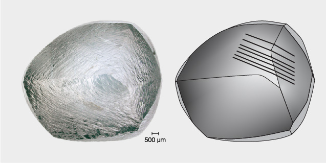 An image showing a translucent, textured mineral or crystal on the left and a detailed, shaded illustration of its shape on the right.