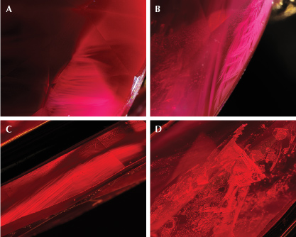 Figure 1. Inclusions in a Ramaura flux-grown synthetic ruby: angular milky clouds (A), wispy veil-like irregular hazy clouds (B), strong angular graining (C), and triangular flux inclusions (D). Photomicrographs by Makoto Miura; fields of view 2.96 mm (A, B, and D) and 3.99 mm (C).